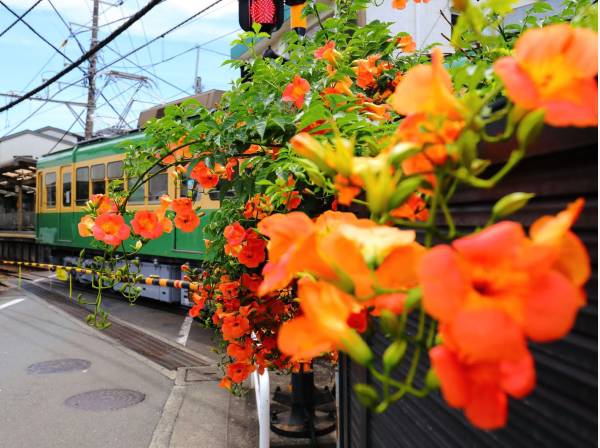 江ノ島電鉄「由比ヶ浜」駅まで徒歩6分