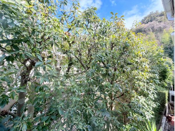 2階北側の窓から