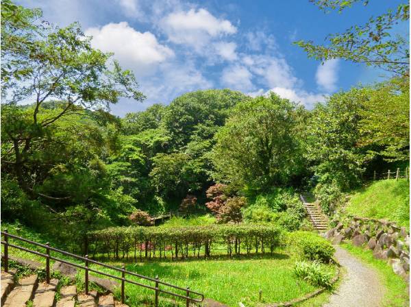 鎌倉の緑を享受するロケーション。鎌倉中央公園まで約340m