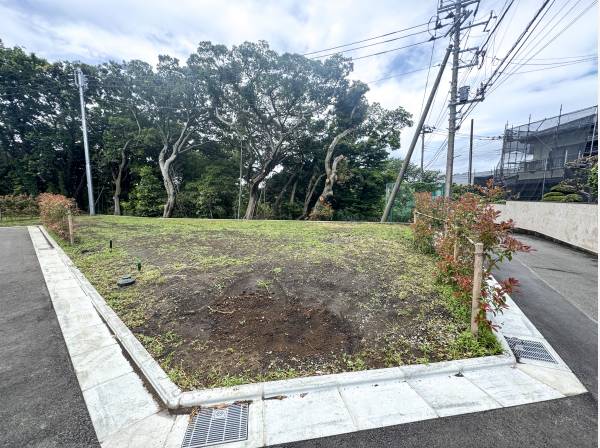 広く接道に面しており心地よい陽光が期待できそうですね