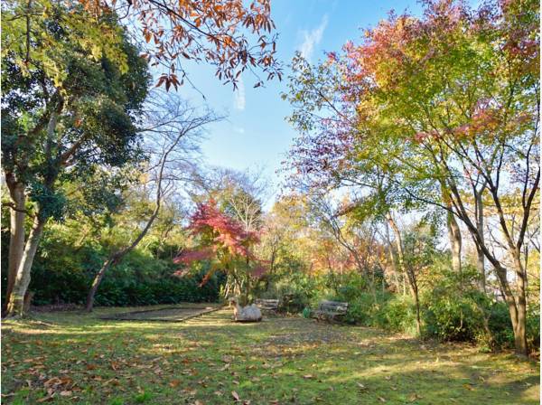 大平山公園まで徒歩4分（約270m）