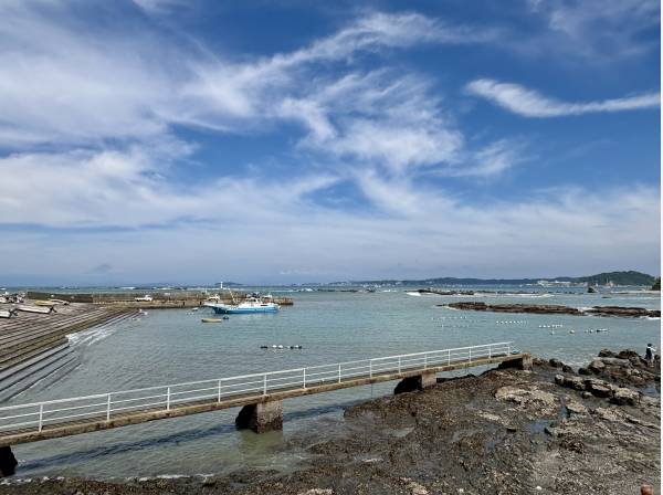 本マンション前面道路から撮影（約30m先）。海を贅沢に眺めます。