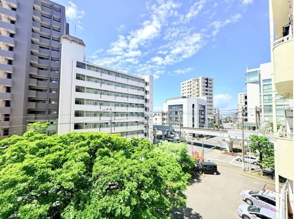 窓いっぱいに広がる豊かな緑と青空！南向きならではの心地よい眺望です