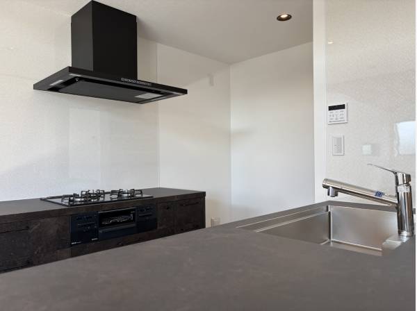 グラフテクトのキッチンを採用