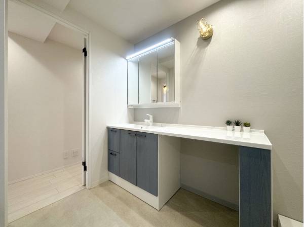 洗濯物を畳んだりスキンケアをしたり様々な用途で活躍してくれそうな洗面化粧台