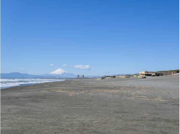 湘南のおおらかな海（約1,400ｍ）