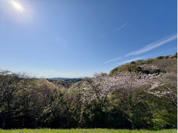 関東の富士見百景まで徒歩1分（約72m）
