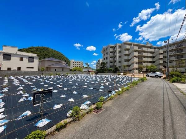 南西角地で日当たり良好