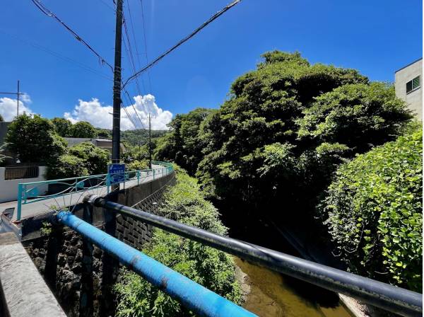 現地目の前の下山川の様子です。