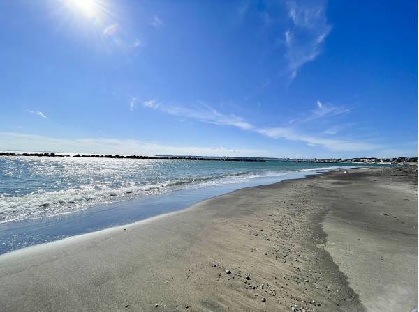 野比の海岸