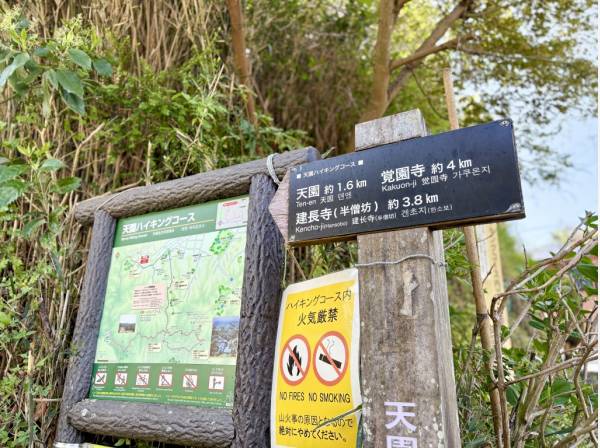 天園ハイキングコース入口がすぐそこ♪