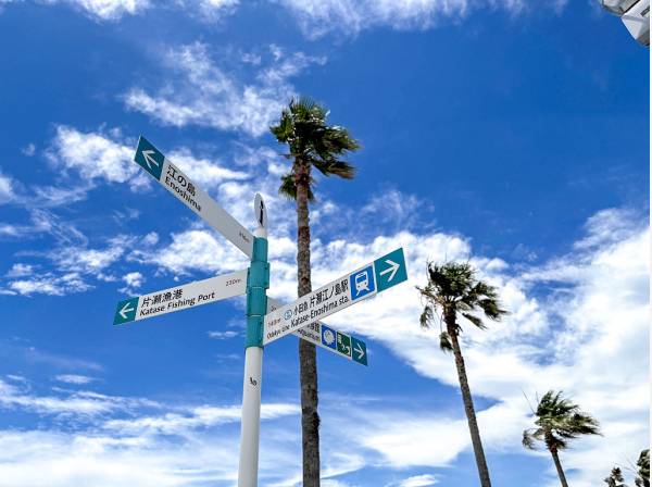 自然に囲まれていて子育て世帯にもおすすめの住環境もポイント