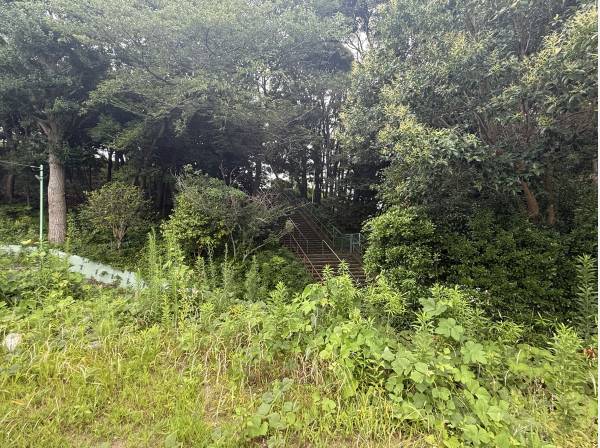 敷地面積は約388坪！豊かな自然を身近に感じられる住環境