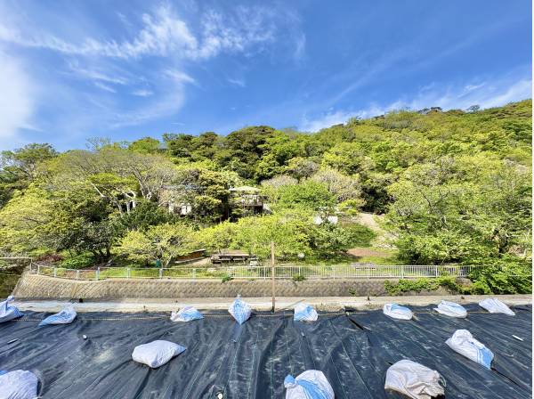 自然が豊富な環境です