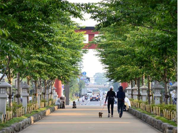 鶴岡八幡宮参道の段葛までは徒歩20分（約1600m）