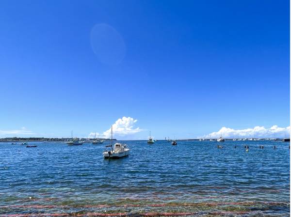 佐島港までは歩いて13分（約900m）ほど。お散歩に丁度よい。