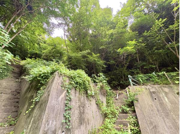 自然に包まれてリラックス
