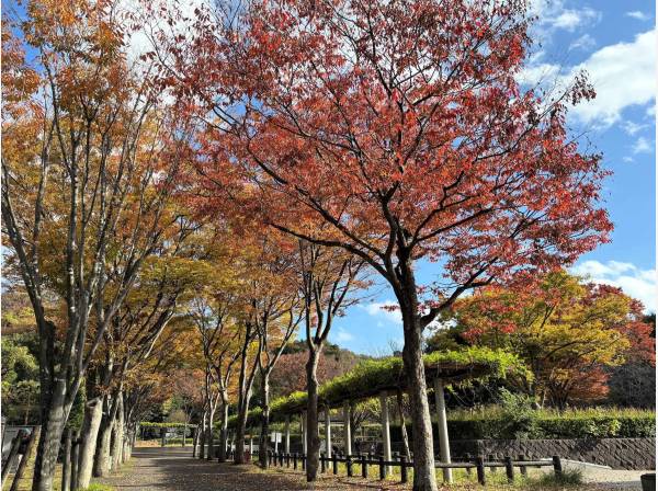 新林公園まで徒歩5分 (約350ｍ)