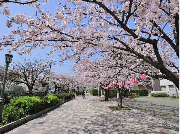 岩瀬こい公園まで徒歩1分（約50m）