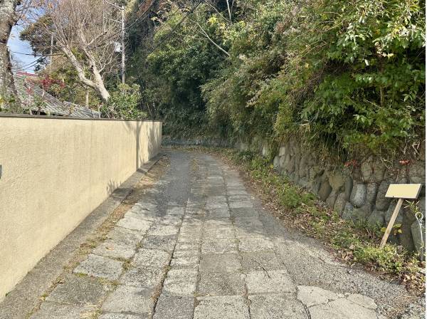 北西側道路/対象地は右側