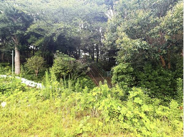 敷地面積は約388坪！豊かな自然を身近に感じられる住環境