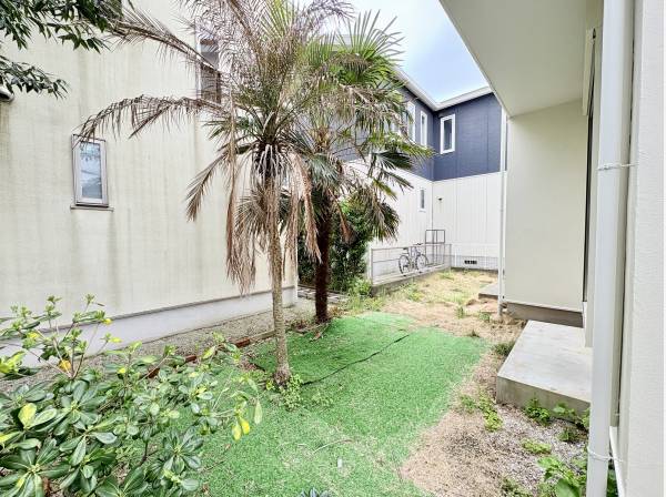 庭には湘南らしさを感じる椰子の木が植えられています