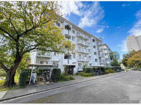 住環境が整う住宅になります