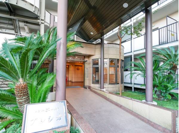 ソテツの緑がエントランスに彩りを添えています