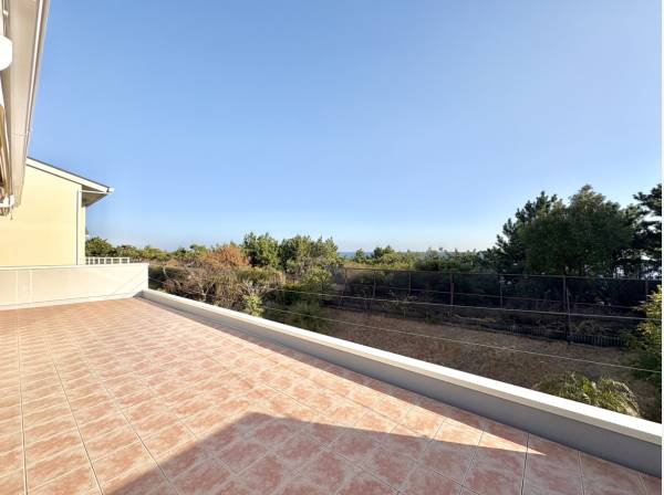 海と松の美しいコントラスト