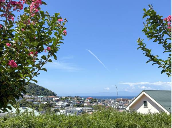 現地付近の道路からはこんな素敵な景色も (約210ｍ)