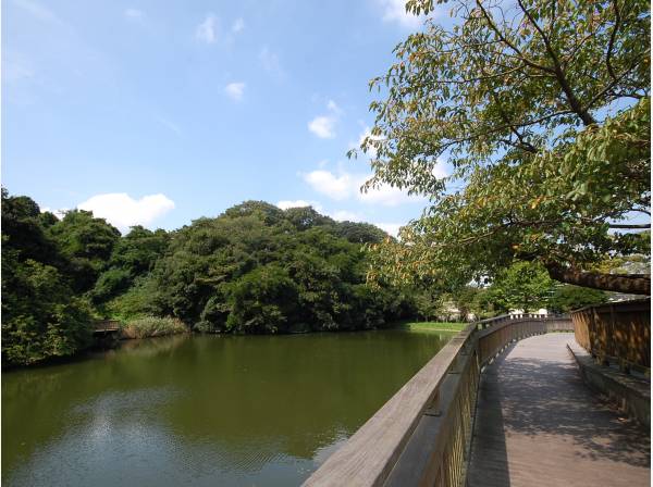 穏やかな湖畔でのひと時を過ごせる夫婦池公園まで徒歩１３分(約1ｋｍ)