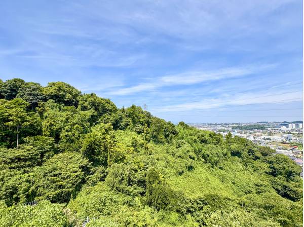 2階からは鎌倉の街並みに四季の彩りが織りなす美しい眺望を堪能できます