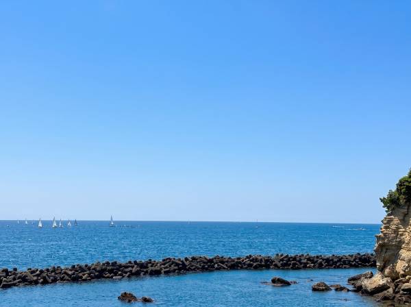 東には小動岬の岩肌と緑のコントラスト…動きのある海景色が魅力です