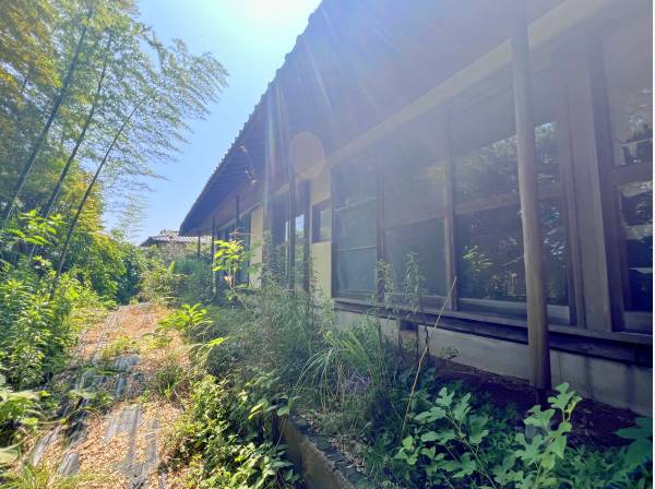 緑に囲まれた環境です。