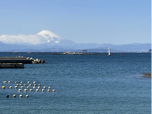 真名瀬＆芝崎 海岸（約650m）
