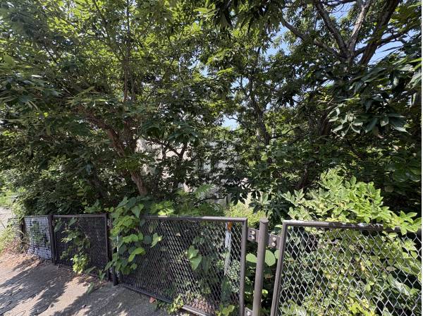 自然は十分ございますので、理想のプランでご建築ください。