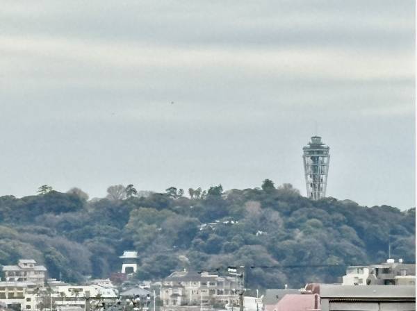 ルーフバルコニーからは江の島が見えますよ。