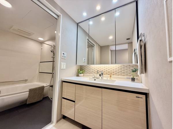 サニタリースペース