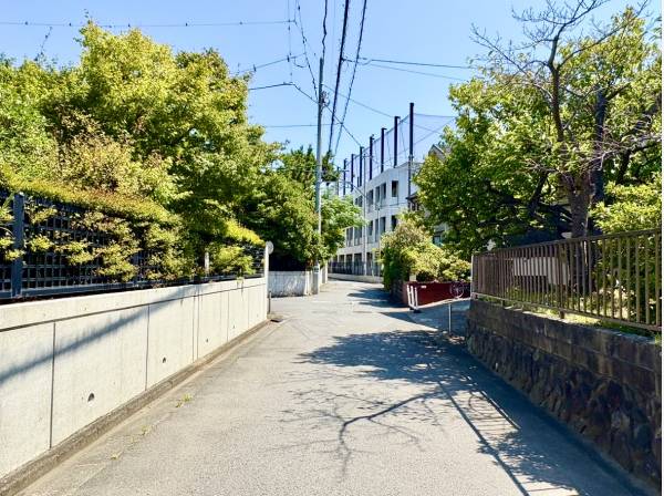 前面道路は約4ⅿございます