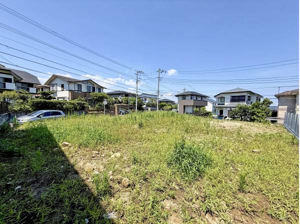 敷地内、南西側から北東角に向かって撮影