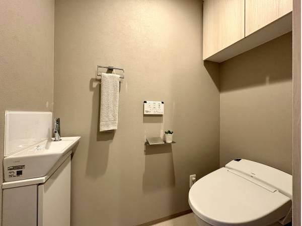 手洗いカウンター付きのすっきりとしたトイレ