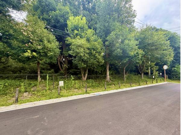 周辺は緑豊かで閑静な住宅街 穏やかな時間が流れる環境です