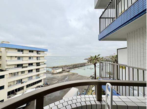 リビングと繋がるバルコニーから見える眺望