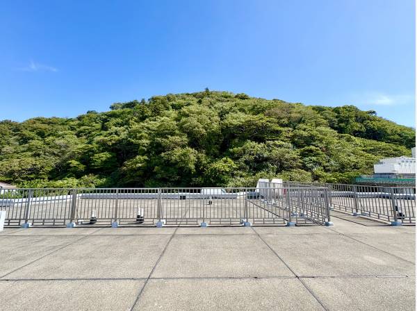 海だけではなく、色鮮やかな葉山の緑も眺望できます※共用部になります