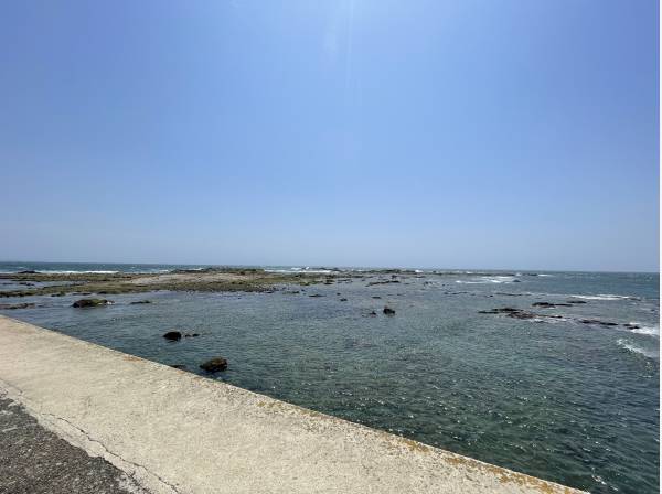 マンション目の前の海岸になります
