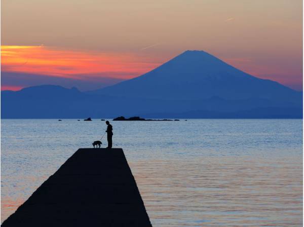 刻一刻と表情を変える海景色に心が動かされます(約160ｍ)