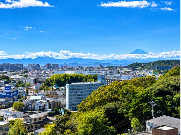 雄大な富士山と豊かな緑が織りなす美しい眺望。