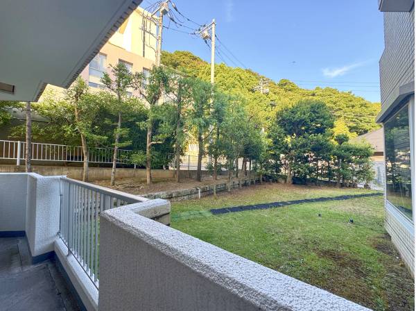 緑が身近な環境。テンション上がりますね。