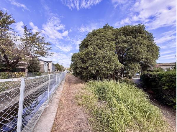 自然豊かな住環境。