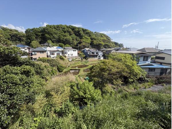 1階の窓から見た風景です！